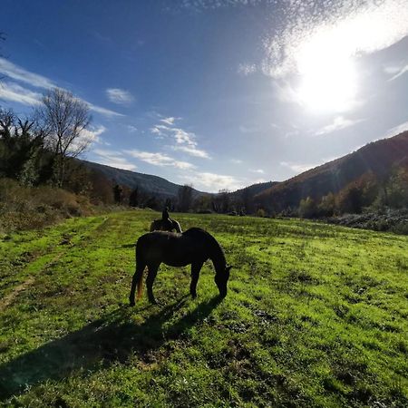 La Casella Antico Feudo Di Campagna Ficulle Екстериор снимка